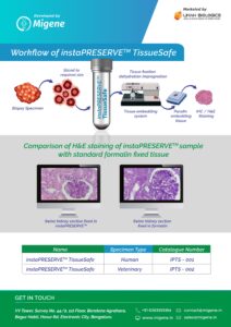 TissueSafe-compressed_page-0002-212x300-1